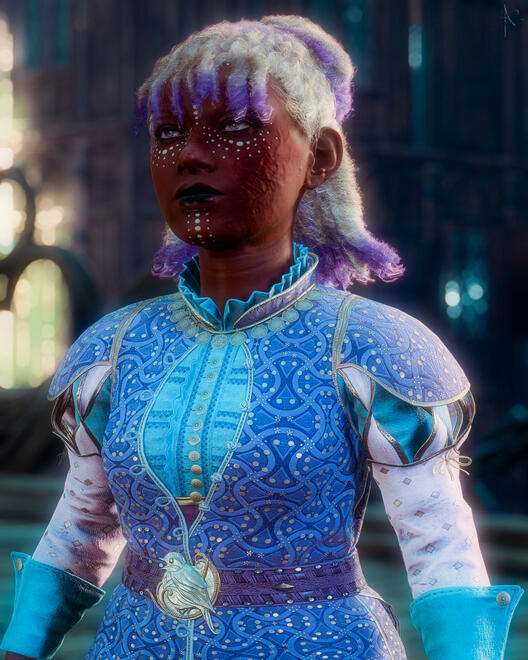 the first custom companion